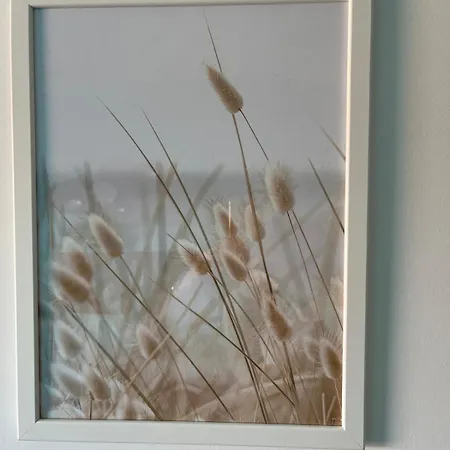Appartement Cabourg *